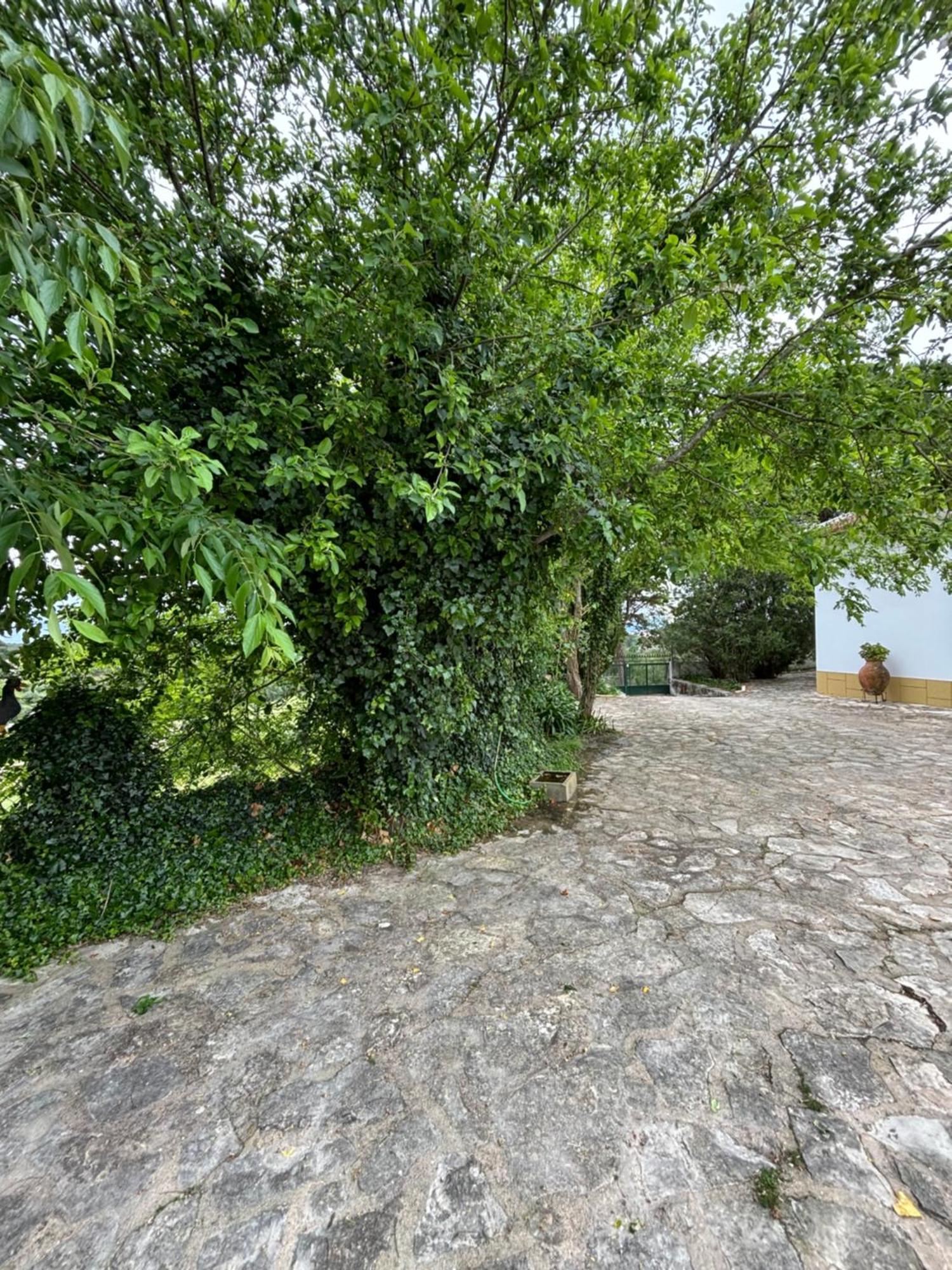 Villa Casa Da Nogueira à Tomar Extérieur photo