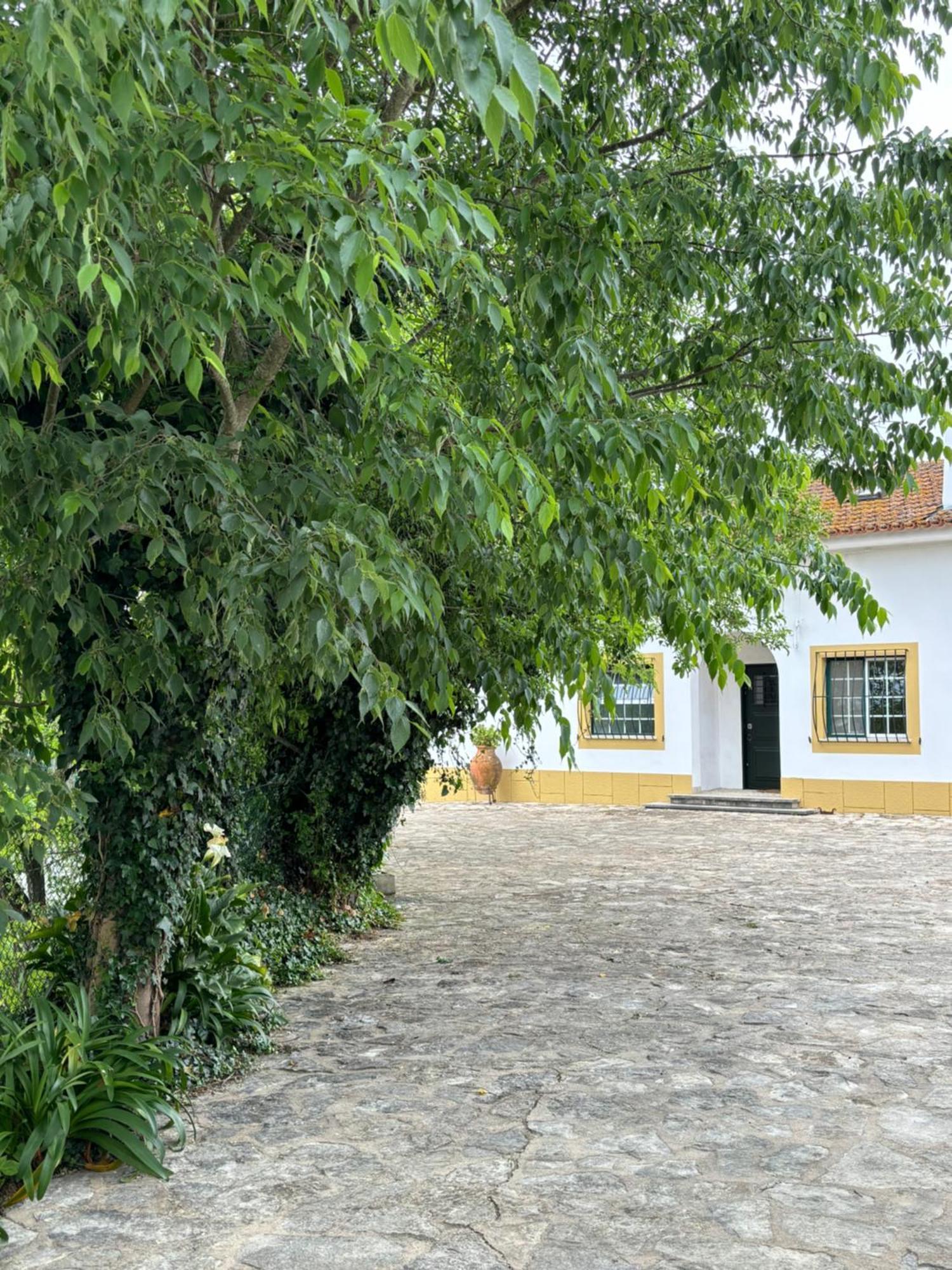 Villa Casa Da Nogueira à Tomar Extérieur photo